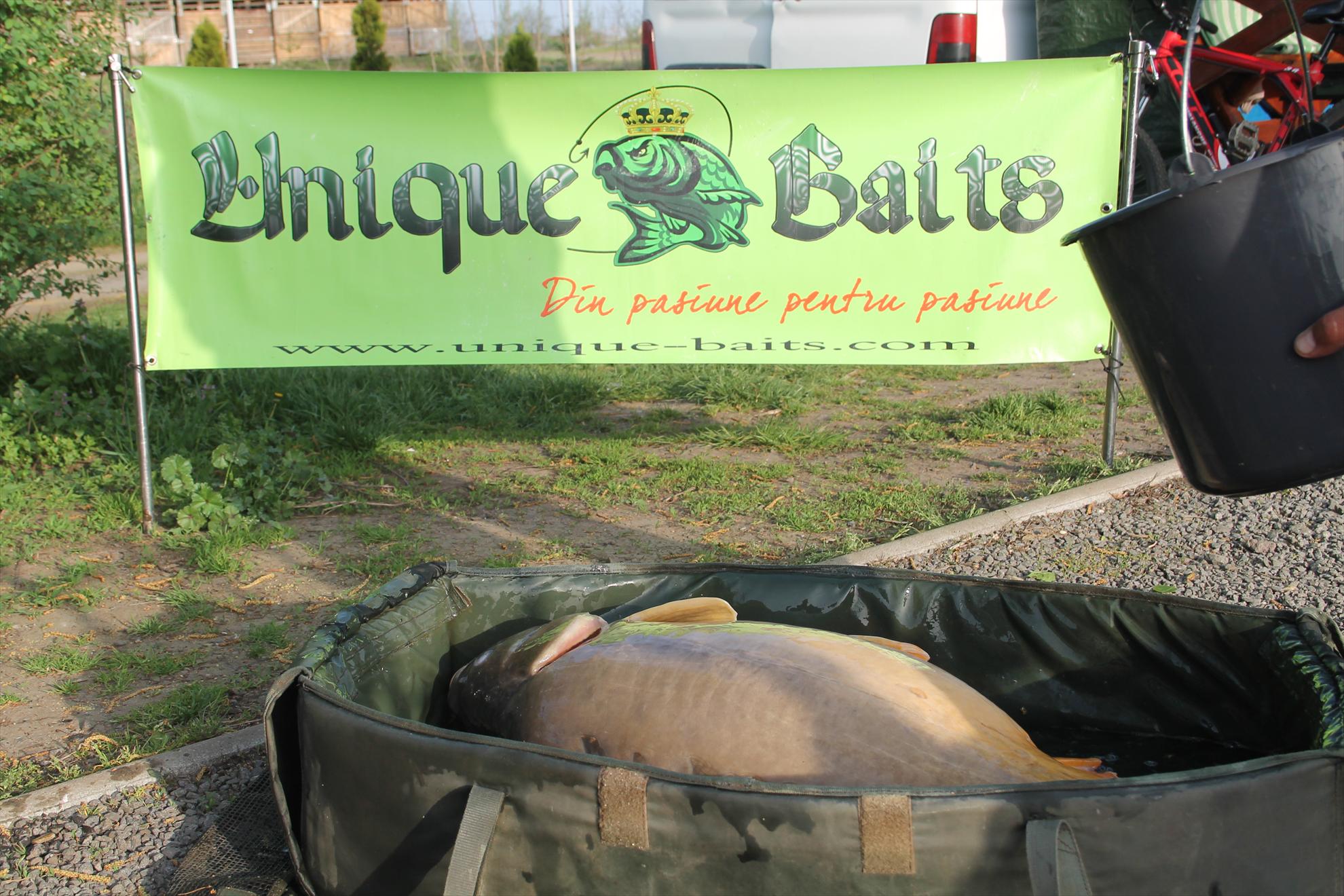 My new passion...3 - nagykallo-aprilie2013-420.JPG